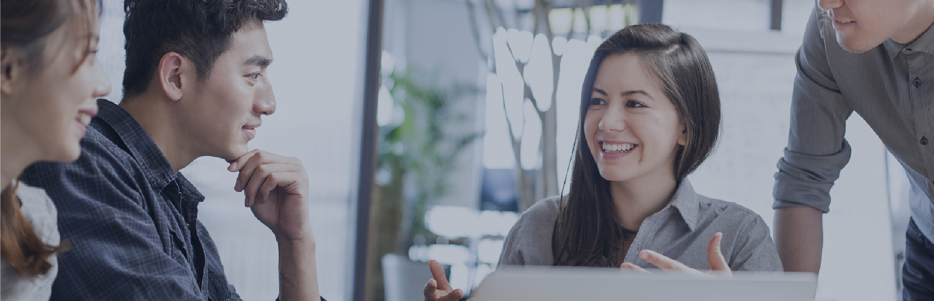 联系99499威尼斯